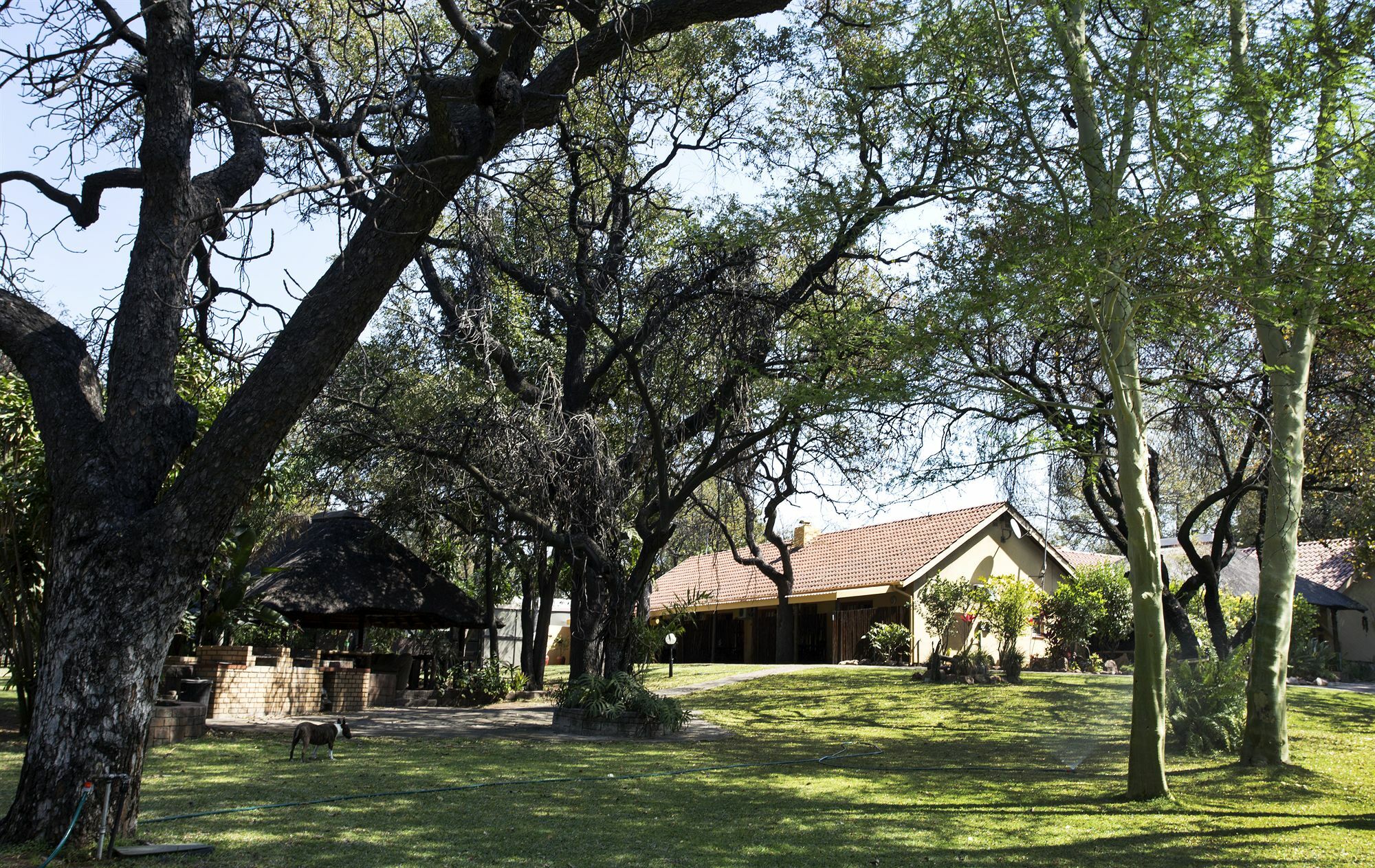 Sunbird Lodge 팔라보르와 외부 사진